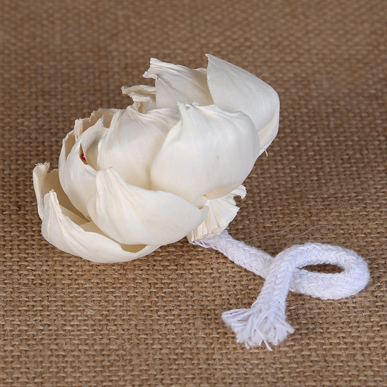 Rattan Aromatherapy 8CM Peony Flower Dyeable Perforated Home Decoration Expanding Fragrant Flower Simulation Dried Flower