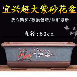 花盆长方盆景盆君子兰陶瓷花盆盆景花盆方形花盆室内花盆