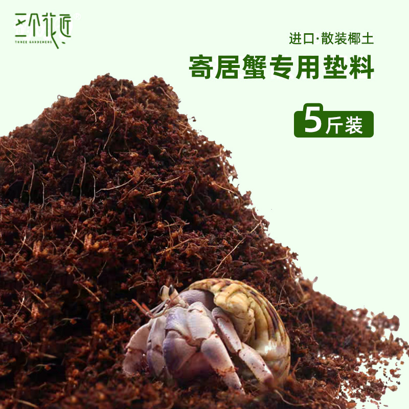 Cua Hermit Đất Dừa Nguyên Chất 2.5kg
