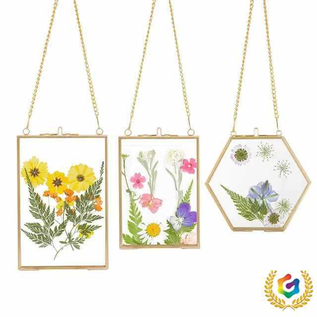 ⇕ Metal Photo Frame Display Stand 6inch 7inch Transparent Glass Frame for Plant Specimens, Photo Frame with a Light Luxury Feel