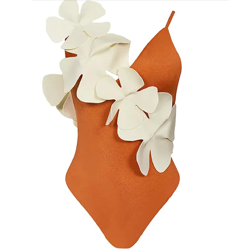 Swimsuit Image 4