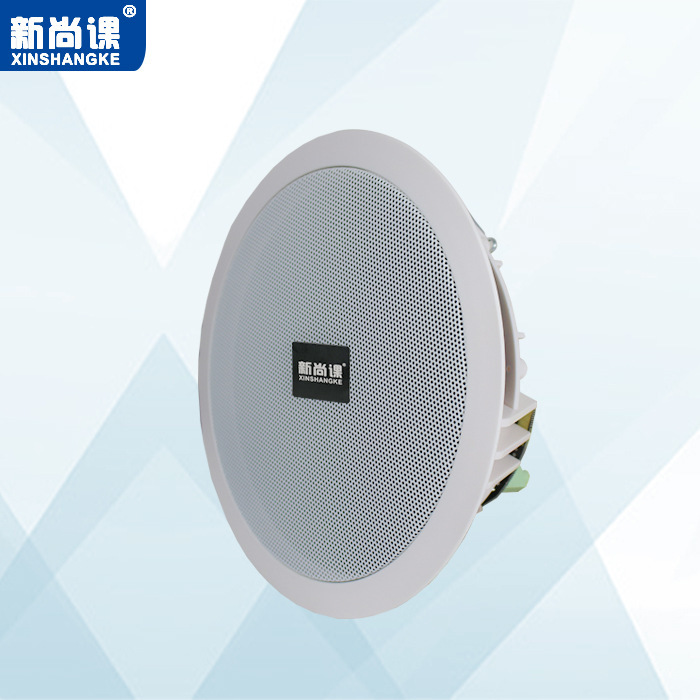 EXPRESSIÓN DEL EXPRESSIÓN, altavoces inalámbricos Bluetooth, altavoces de techo activos, música de fondo, supermercados, tiendas, sonido de techo