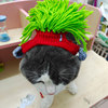 Cute hat, woolen woven accessory, Birthday gift