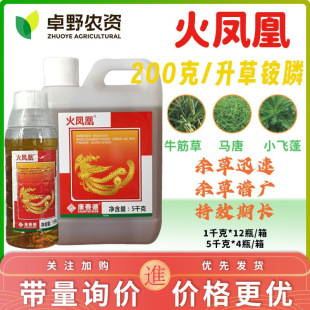 ��ِ�»��P��200��/�����@좹��@�ֵطǸ���С�w���s�ݏ�Ч���݄�