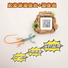 造景/装饰;微景观;宠物周边用品