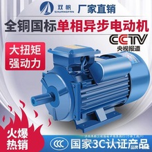 늙C220VС̓0.75/1.1/1.5/2.2/3/4KWȫ~늄әCR_