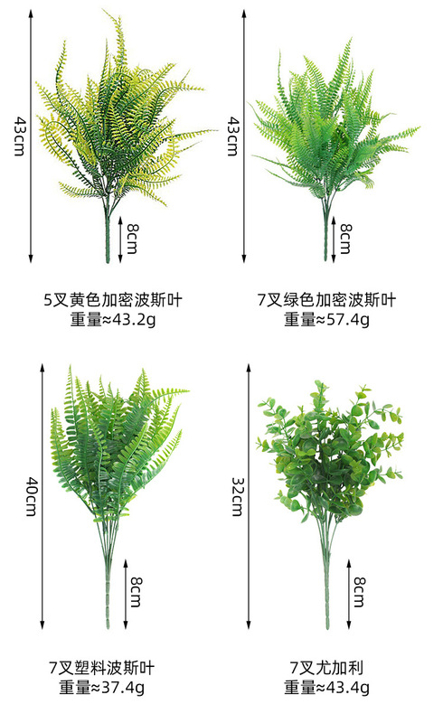 7叉波斯葉