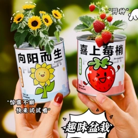 钥匙扣及钥匙扣配件;便利贴;书签