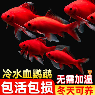 ��ˮ�W�^�~��ؔ�t�~��ˮ���B�׻���ˮ�~���^�p�~���~���~�ͻ��\��
