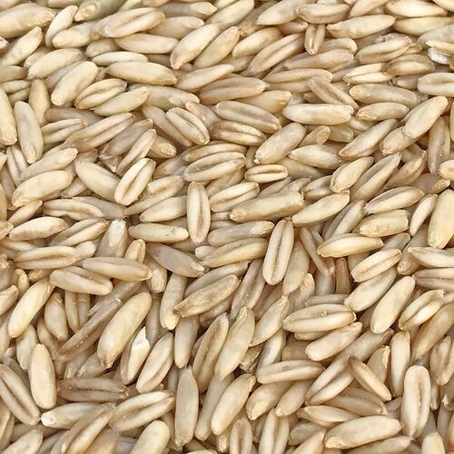 New oats, rice, tiger skin, peony, black phoenix, bird feed, bird feed, millet shelled mixed grain, small and medium parrot feed