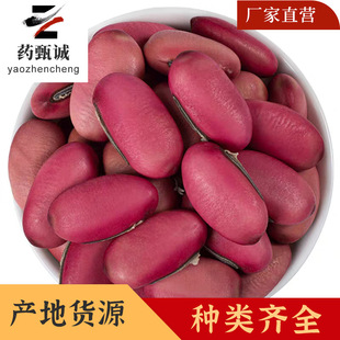 �t������ș�� ���x�oѬ��o�s�| �t���� ����s�ϴ�ȫ Դ�^���S