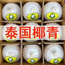 正宗泰國椰青椰子蛋專用椰青新鮮椰子特大果9個裝進口整箱批發