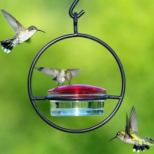 Cross-border new outdoor hummingbird feeder hanging birds courtyard garden water feeder