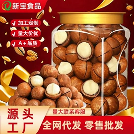 夏威夷果;腰果;瓜子