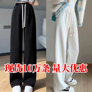 �W�޽q���ѝŮ�����ӽqѝ��2024�����@��ֱͲ�����������eŮѝ