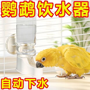 �¿��W�^�Ԅ��ˮ���B��Ʒˮ��ιʳ��С�B��ˮ��С�B�ˮ���B�\