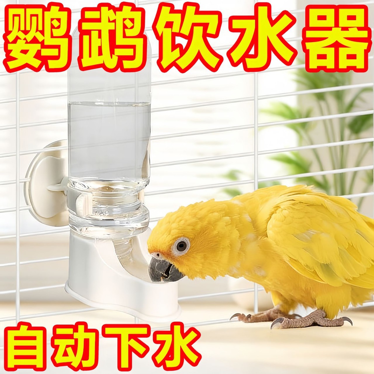 New parrot automatic waterer bird supplies kettle feeder bird and kettle bird waterer bird cage