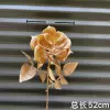 Single rose