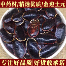 正品金边土元土鳖虫中药材中华土鳖子水洗无土地鳖虫地乌龟可磨粉
