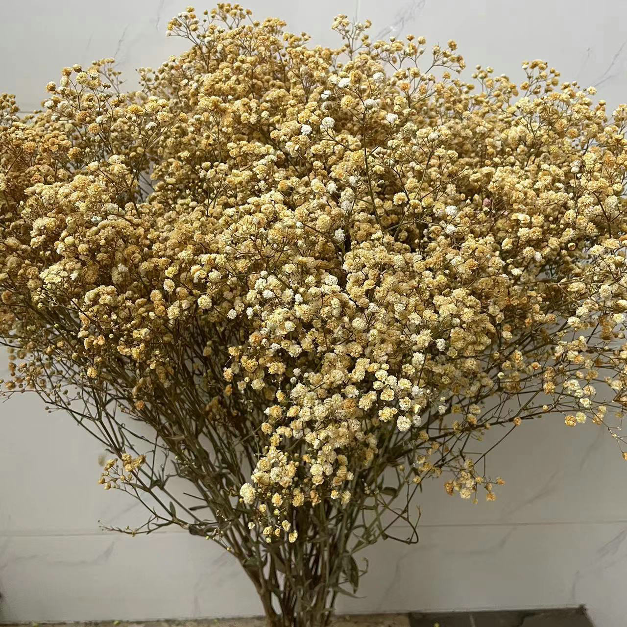 微信图片_202306160907393_副本