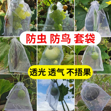 ˮ״͸͸BxWѲݮoʯoڴ