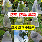 水果套袋透气透光防鸟防虫网袋葡萄草莓无花果石榴保护束口袋子