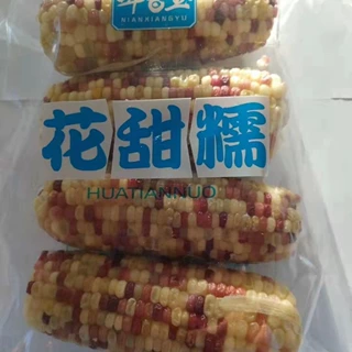 小花糯20穗一箱黄糯玉米
