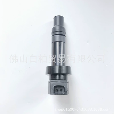 Alovlanma bobini (Babinalar) 273012B010, Uf636 Ignition