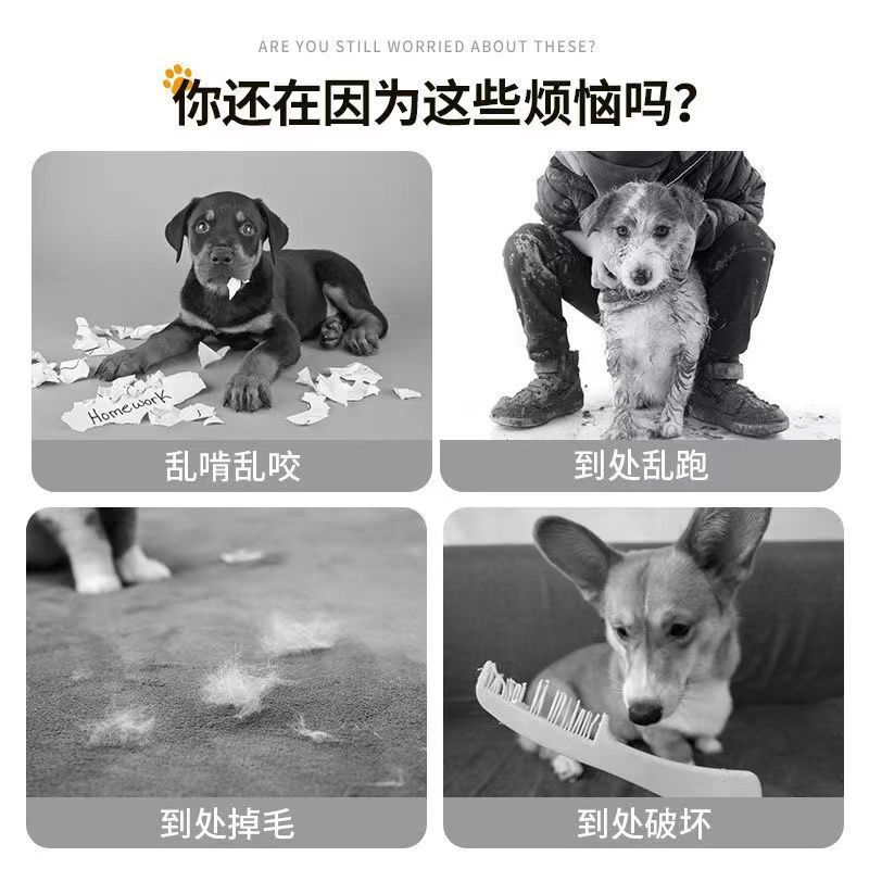 寵物圍欄狗狗隔離自由組合室內帶廁所區小型犬狗窩家用柵欄狗籠子
