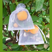 水果套袋防鸟网纱袋瓜果防虫袋无花果枇杷葡萄桃子草莓保护袋