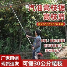 ���͸�֦䏳��L�߿���ě_���L�U��䏹��@��֦䏸ߗU䏼�����̫��