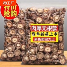 �㹽��؛�a�����㹽500gС�������lĢ�������I�B�������Ҝ�