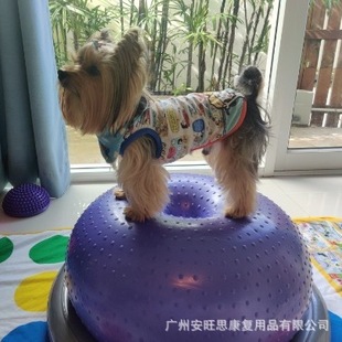 AVC dog dog dedicated fitness DONUT DONUT ball rehabilitation rehabilitation training core muscle atrophy hind limb strength
