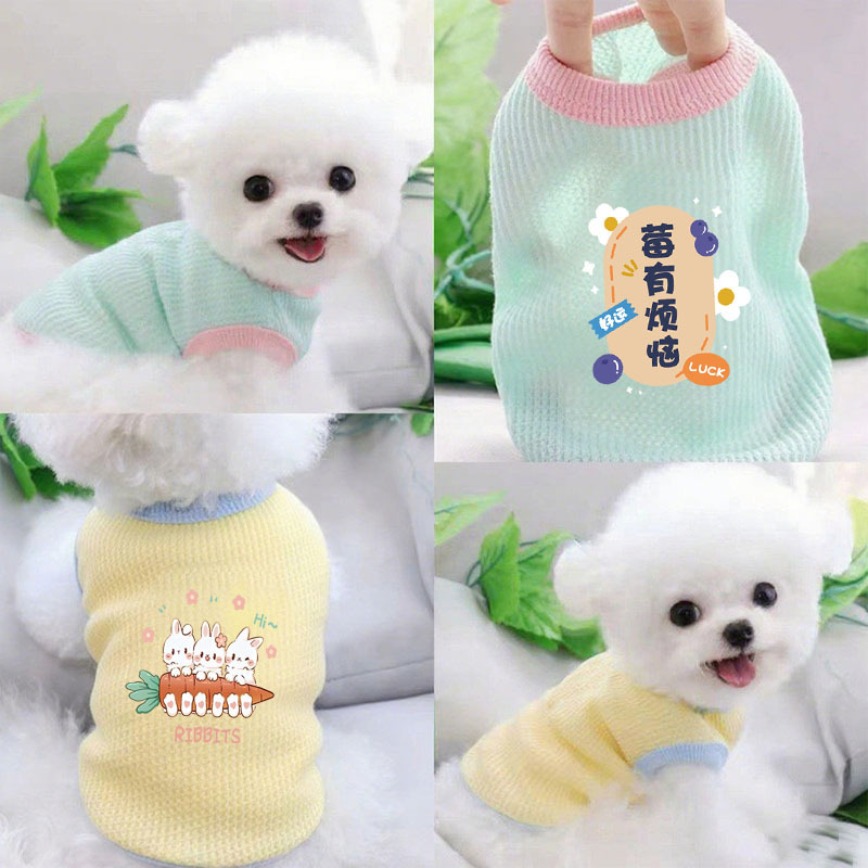 Pet Clothes Spring and Autumn Thin Style Camisole Vest Dog Clothes for Teddy, Bichon, Small Cats, Yorkshire Terrier, Schnauzer