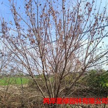 ������Ǘ����� ���ԃ��|؛Դ 3�� 4�� 5�� 6�� 8�׸� ���΃���