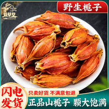 野生栀子500g克正品山栀子栀子果红栀子干泡茶泡水食用上色中药材