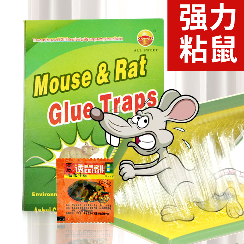 粘鼠板 加厚硬紙板大力粘膠 支持OEM貼牌定制