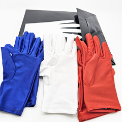 G0866 手套變色袋 King Magic 魔術道具 舞台表演 節日晚會演出