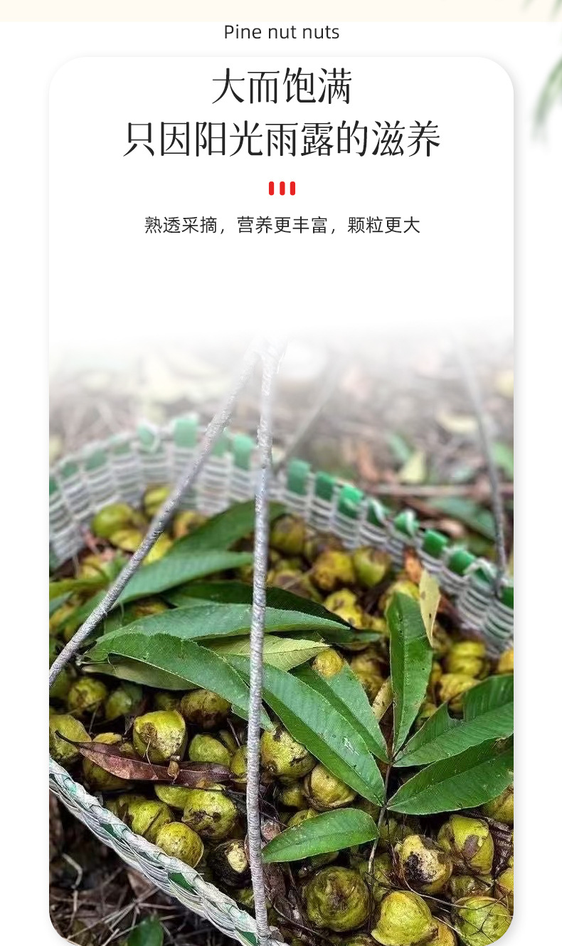 超好剝山核桃_03