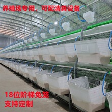 兔笼子养殖场母兔生产繁殖笼新式自动清粪新型特大号兔窝兔笼