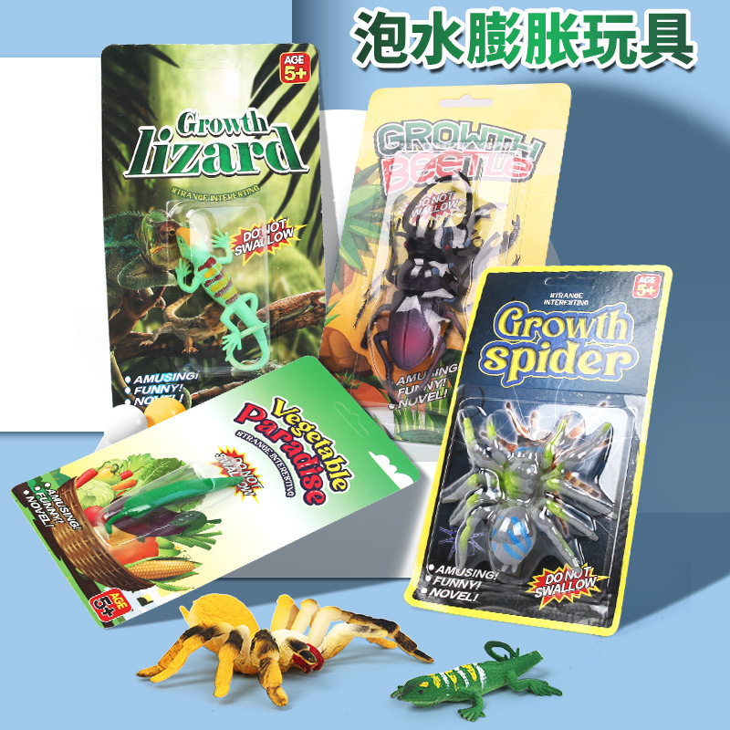 Children's cognitive toys insect simulation model water swelling beetle web drama creative Trick Spider abrasive wholesale Children's cognitive toys insect simulation model water swelling beetle web drama creative Trick Spider abrasive wholesale