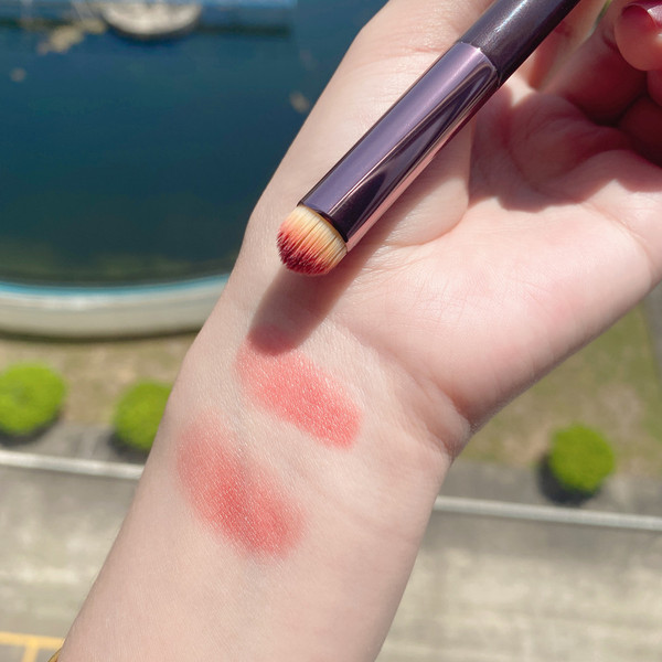 Beauty bloggers recommend multi -functional round head and lip brush…