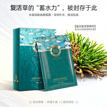 容倾城复活草水凝润肤面膜补水保湿紧致收缩毛孔控油熬夜清洁面膜