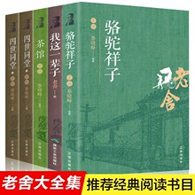 评析全套15册鲁迅全集正版经典呐喊朝花夕拾野草故乡狂人日记