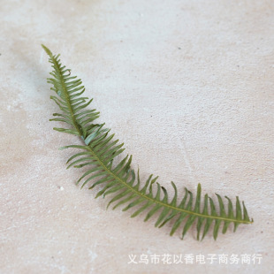 �ɻ��~��������diy���İ��Gɫ�~��â���~Ƭ��޹Ϟ�T���z���