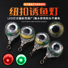 2024 魚の目魚誘引ライト LED 水中集魚装置ルアー餌ライトボタン魚誘引ライト電子魚誘引ライト