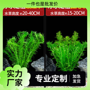 ˮ��ֲ���~������쾰���Bȫ�ה[���B�~����䁵����ˮ�������Gֲ