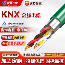 �ӹ�����KNX������|EIB����BUS-EIB2x2x0.8�Ҿ������_�P����늾�