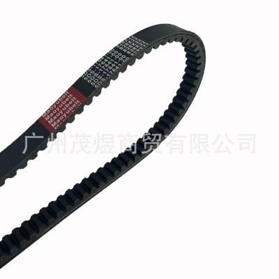 TEO'S XQ – Belt