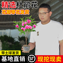 ë���N����ӳɽ�t�ļ�����ͥԺ�G����ľë�N���绨���ͺ����B����